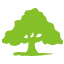 GreenTree Rewards